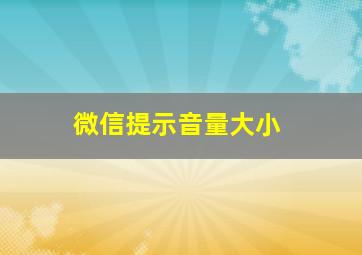 微信提示音量大小