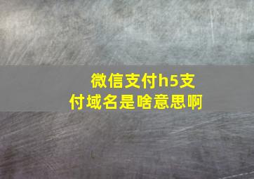 微信支付h5支付域名是啥意思啊