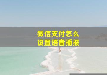 微信支付怎么设置语音播报