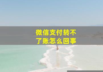 微信支付转不了账怎么回事