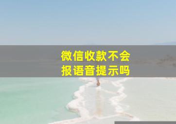 微信收款不会报语音提示吗