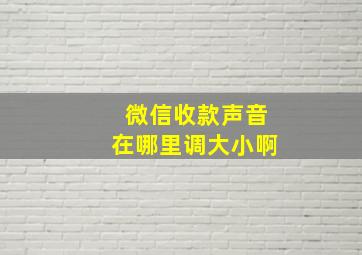 微信收款声音在哪里调大小啊