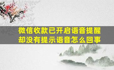 微信收款已开启语音提醒却没有提示语音怎么回事