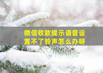 微信收款提示语音设置不了铃声怎么办呀