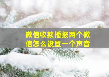 微信收款播报两个微信怎么设置一个声音