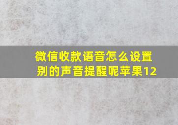 微信收款语音怎么设置别的声音提醒呢苹果12