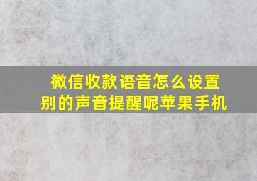 微信收款语音怎么设置别的声音提醒呢苹果手机