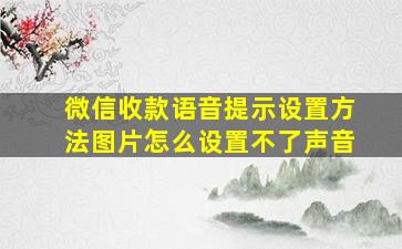 微信收款语音提示设置方法图片怎么设置不了声音