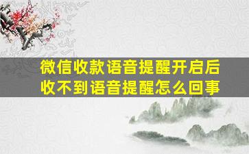 微信收款语音提醒开启后收不到语音提醒怎么回事