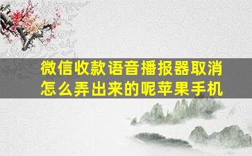 微信收款语音播报器取消怎么弄出来的呢苹果手机