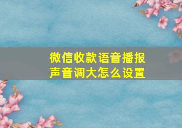 微信收款语音播报声音调大怎么设置