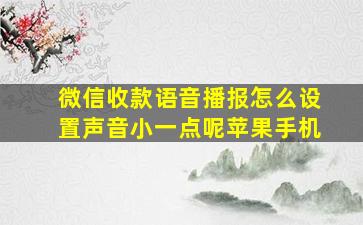 微信收款语音播报怎么设置声音小一点呢苹果手机