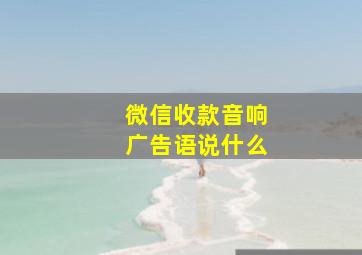 微信收款音响广告语说什么