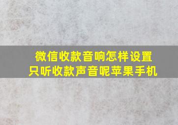 微信收款音响怎样设置只听收款声音呢苹果手机