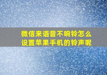 微信来语音不响铃怎么设置苹果手机的铃声呢