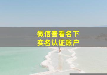 微信查看名下实名认证账户