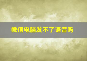 微信电脑发不了语音吗