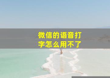 微信的语音打字怎么用不了