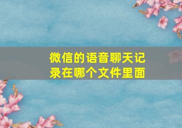 微信的语音聊天记录在哪个文件里面