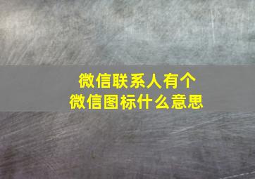 微信联系人有个微信图标什么意思