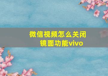 微信视频怎么关闭镜面功能vivo