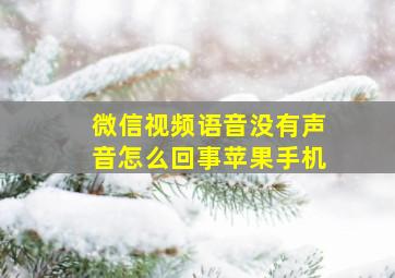 微信视频语音没有声音怎么回事苹果手机