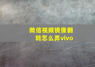 微信视频镜像翻转怎么弄vivo