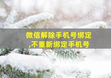 微信解除手机号绑定,不重新绑定手机号