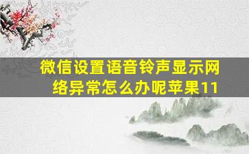 微信设置语音铃声显示网络异常怎么办呢苹果11