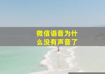 微信语音为什么没有声音了