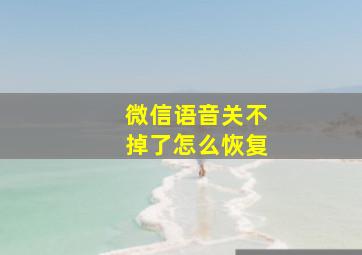 微信语音关不掉了怎么恢复