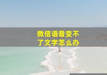 微信语音变不了文字怎么办