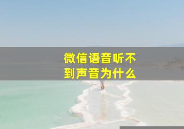 微信语音听不到声音为什么