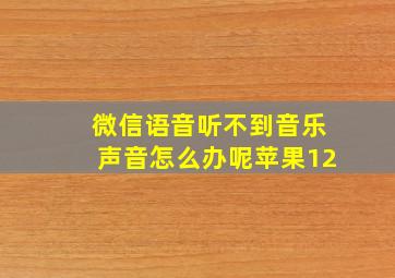 微信语音听不到音乐声音怎么办呢苹果12