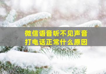 微信语音听不见声音打电话正常什么原因