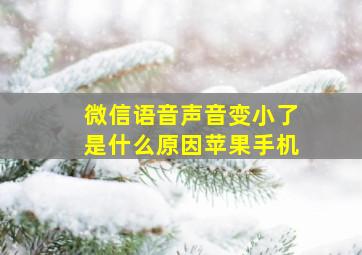 微信语音声音变小了是什么原因苹果手机