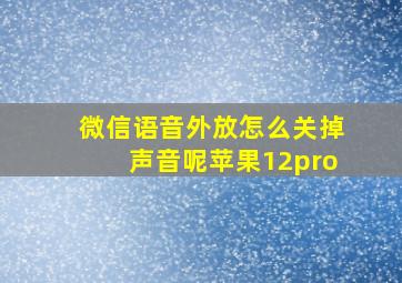 微信语音外放怎么关掉声音呢苹果12pro