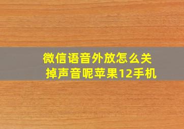 微信语音外放怎么关掉声音呢苹果12手机