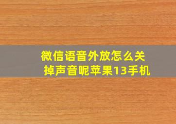 微信语音外放怎么关掉声音呢苹果13手机