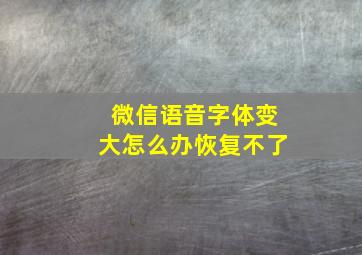 微信语音字体变大怎么办恢复不了