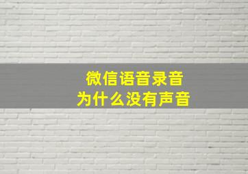 微信语音录音为什么没有声音