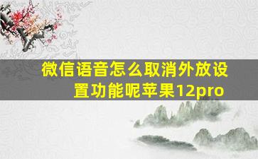 微信语音怎么取消外放设置功能呢苹果12pro