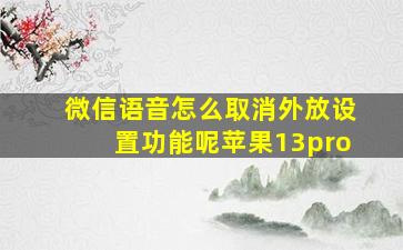 微信语音怎么取消外放设置功能呢苹果13pro