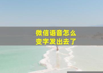 微信语音怎么变字发出去了