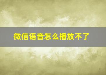 微信语音怎么播放不了