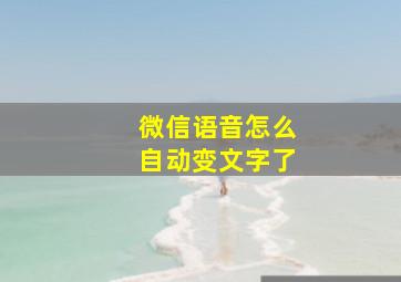 微信语音怎么自动变文字了