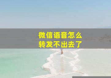 微信语音怎么转发不出去了