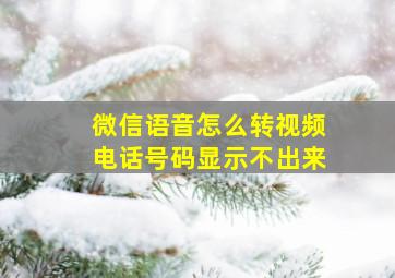 微信语音怎么转视频电话号码显示不出来