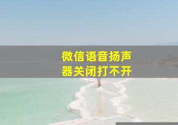 微信语音扬声器关闭打不开