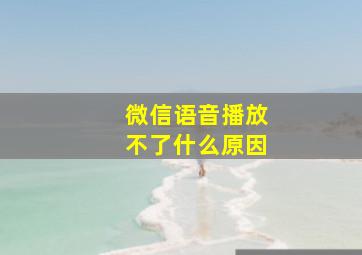 微信语音播放不了什么原因